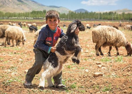 گزارش خبری از عشایر استان چهار محال و بختیاری