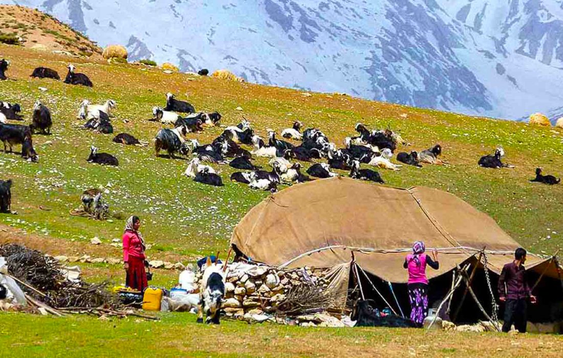 گالری تصاویر عشایر