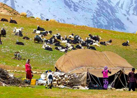 گالری تصاویر عشایر